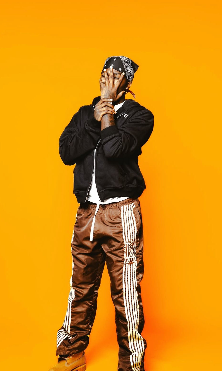 Brown STRIPE PANTS
