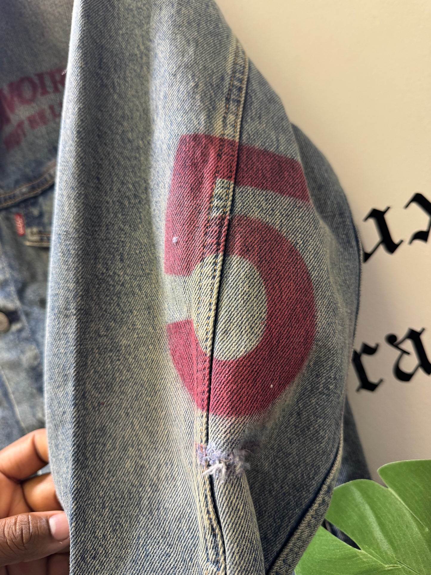 Canvas Rebel Levi’s Denim Jacket